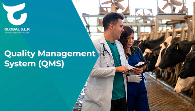 Quality Management System (QMS) | GLOBAL S.L.P. Academy