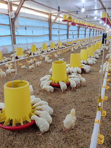 GLOBAL S.L.P. Quality Management System (QMS) for Integrated Farm Management (IFM) version 5.2